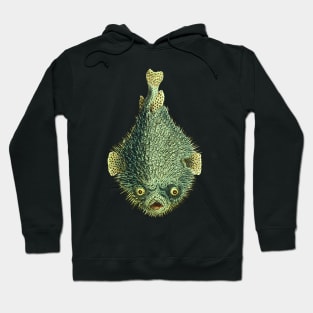 Spiky porcupinefish, green and mean looking with creepy yellow eyes. Hoodie